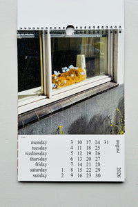 Cats and Dogs in the Window Calendar 2026 / Chantal Rens