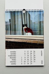 Cats and Dogs in the Window Calendar 2026 / Chantal Rens