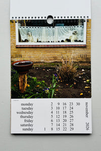 Cats and Dogs in the Window Calendar 2026 / Chantal Rens