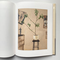 A STORM WARNING / Mamma Andersson