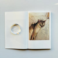 This Is Not My Cat / Takashi Homma