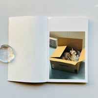 This Is Not My Cat / Takashi Homma