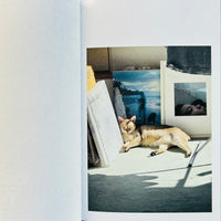 This Is Not My Cat / Takashi Homma