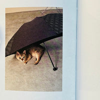 This Is Not My Cat / Takashi Homma