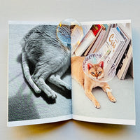 This Is Not My Cat / Takashi Homma