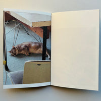 This Is Not My Cat / Takashi Homma