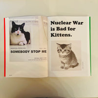 More Than Cat Food / Alberto Vieceli