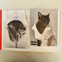 More Than Cat Food / Alberto Vieceli