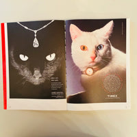 More Than Cat Food / Alberto Vieceli