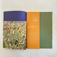 Guide to Field / Ryuto Miyake