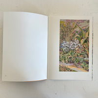 Guide to Field / Ryuto Miyake