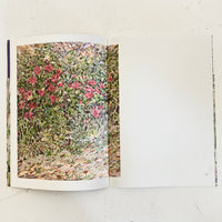 Guide to Field / Ryuto Miyake