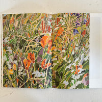 Guide to Field / Ryuto Miyake