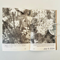 むし記 Umwelten / KETEL PRESS