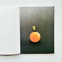 御菓子丸の菓子/ 杉山早陽子