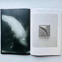 Atlantis/ Oriane Thomasson