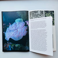 Atlantis/ Oriane Thomasson