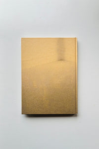 Studio Snapshots / Mark Manders