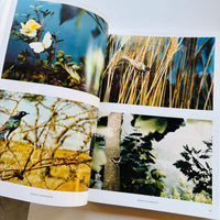 The Dimension of Things / Alessandra Spranzi