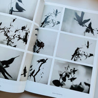 The Dimension of Things / Alessandra Spranzi