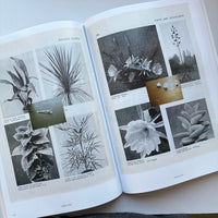 The Dimension of Things / Alessandra Spranzi