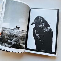 In Between, An Incomplete Index (2001-2026) / Hans Gremmen