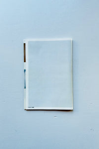 The Goodwiller vol.2 