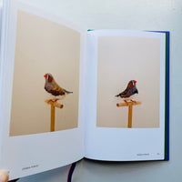 AN INCOMPLETE DICTIONARY OF SHOW BIRDS VOL.2 / Luke Stephenson