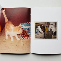 THE FOREVER CAT 2025 / THE FOREVER CAT
