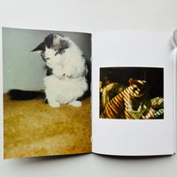 THE FOREVER CAT 2025 / THE FOREVER CAT