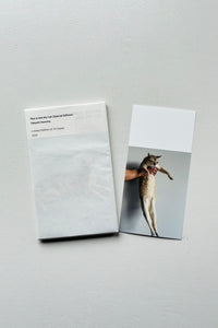 (Special Print Edition) This Is Not My Cat / Takashi Homma