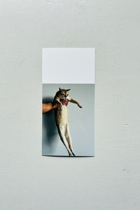 (Special Print Edition) This Is Not My Cat / Takashi Homma