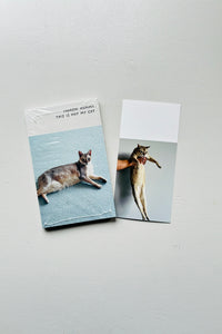 (Special Print Edition) This Is Not My Cat / Takashi Homma