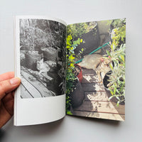 (Special Print Edition) This Is Not My Cat / Takashi Homma
