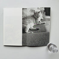 (Special Print Edition) This Is Not My Cat / Takashi Homma