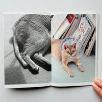 (Special Print Edition) This Is Not My Cat / Takashi Homma