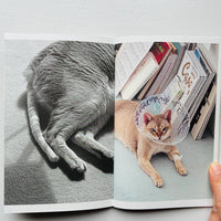 (Special Print Edition) This Is Not My Cat / Takashi Homma