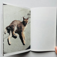 (Special Print Edition) This Is Not My Cat / Takashi Homma