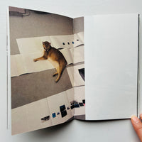 (Special Print Edition) This Is Not My Cat / Takashi Homma