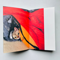 (Special Print Edition) This Is Not My Cat / Takashi Homma