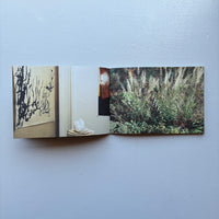 (Signed) DEAD LEAVES 枯れ葉 / 立花文穂 *球体號外付