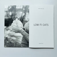 Low Fi Cats / Mark Steinmetz