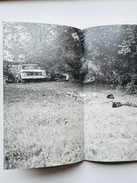 Low Fi Cats / Mark Steinmetz