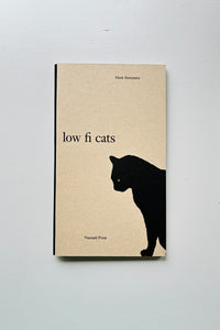 Low Fi Cats / Mark Steinmetz