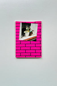 Cats and Dogs in the Window 2（10 POST CARDS SET) / Chantal Rens