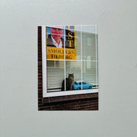 Cats and Dogs in the Window 2（10 POST CARDS SET) / Chantal Rens