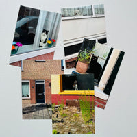 Cats and Dogs in the Window 2（10 POST CARDS SET) / Chantal Rens