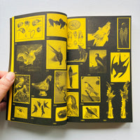 With A Bird: A Reader On Avian Kinship