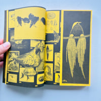 With A Bird: A Reader On Avian Kinship