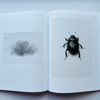 [Special Set] Natural Sources (German Edition) / Jochen Lempert